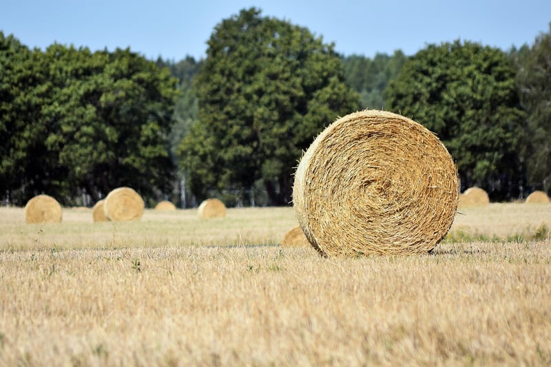 Stainless Steel Straws